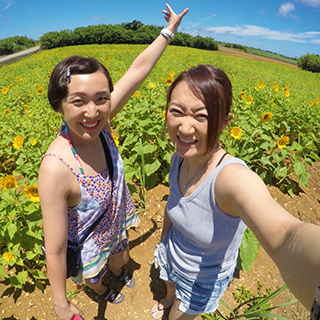宮古島のひまわり畑!ひまわりを見ると元気をもらえます
